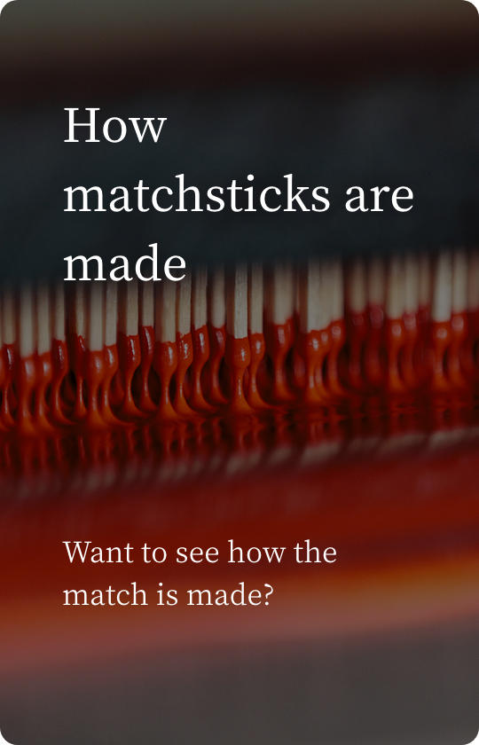 How matchsticks are made